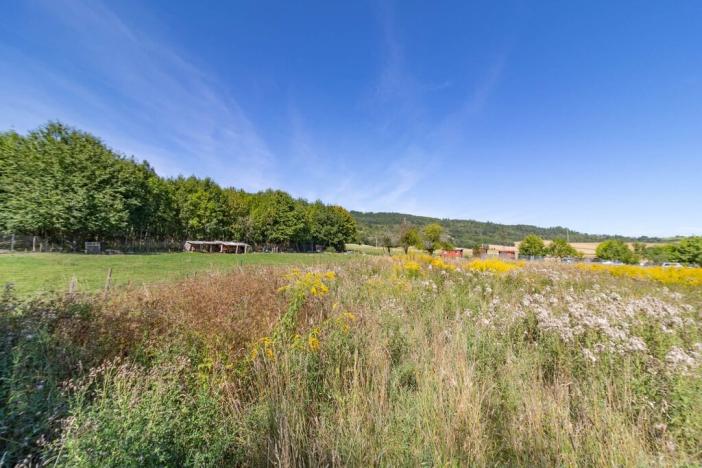 Prodej pozemku pro bydlení, Sušice, 1096 m2