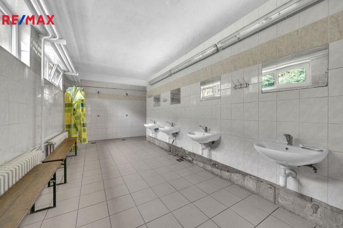 Prodej chalupy, Vysoká Srbská, 900 m2