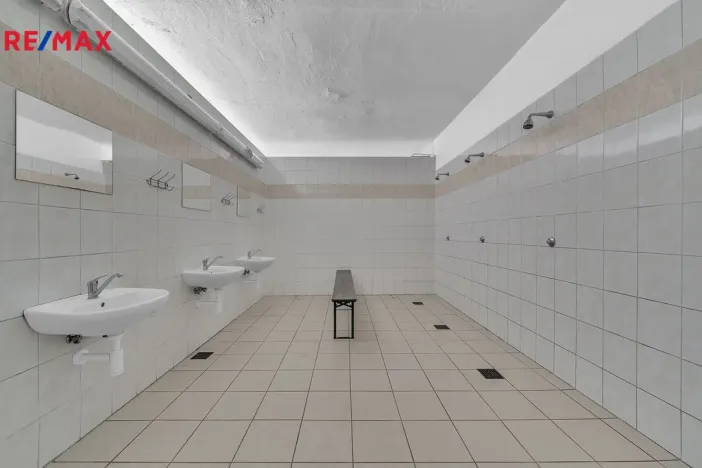 Prodej chalupy, Vysoká Srbská, 900 m2