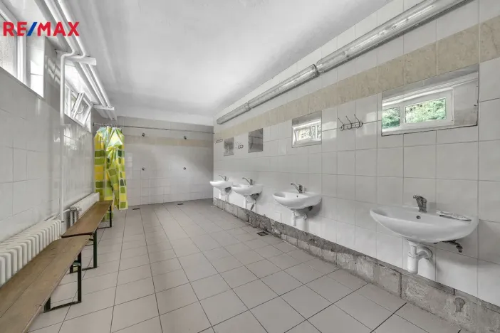 Prodej chalupy, Vysoká Srbská, 900 m2