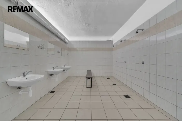 Prodej chalupy, Vysoká Srbská, 900 m2