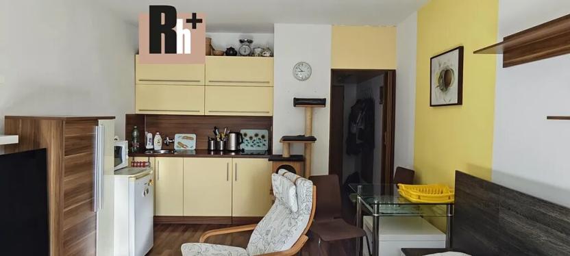 Pronájem bytu 1+kk, Ostrava, U Parku, 25 m2