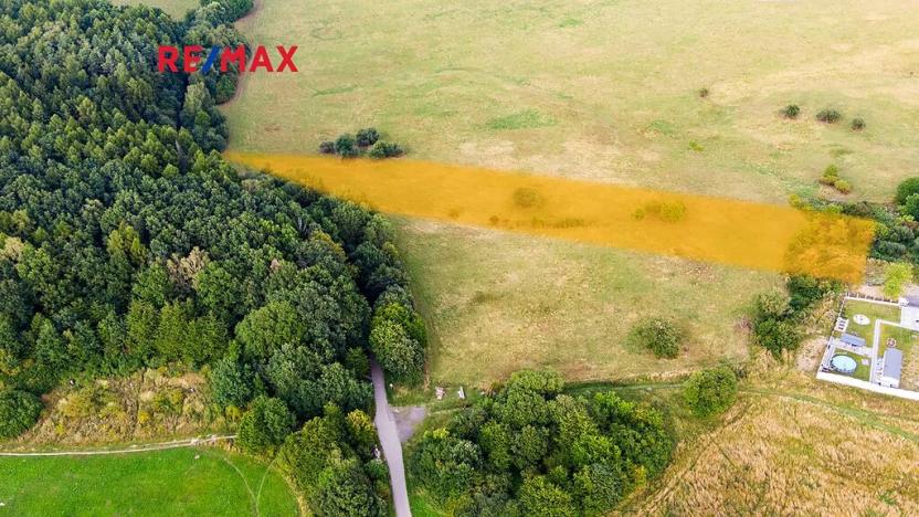 Prodej louky, Česká Lípa, 9571 m2