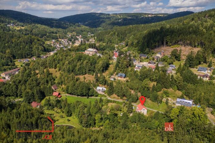 Prodej rodinného domu, Janov nad Nisou, 379 m2