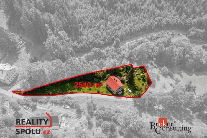 Prodej rodinného domu, Janov nad Nisou, 379 m2