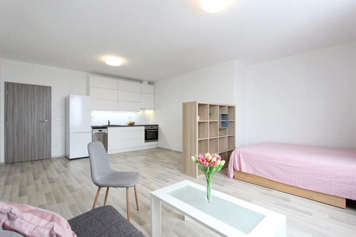Pronájem bytu 1+kk, Brno - Štýřice, Vídeňská, 41 m2