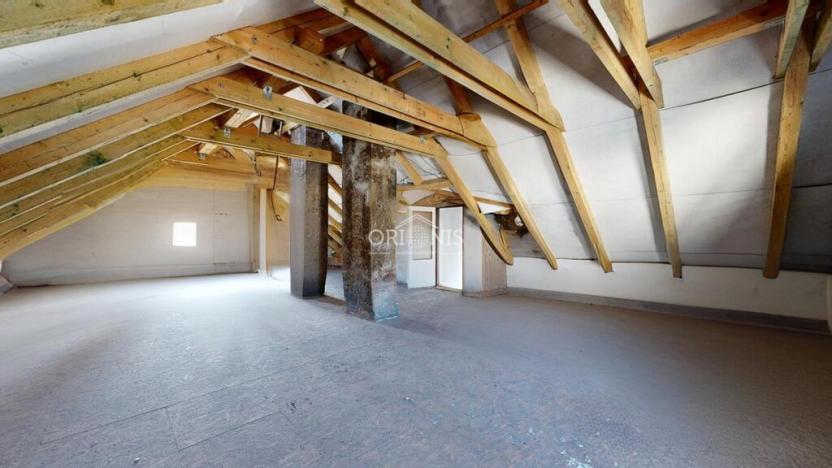 Prodej vícegeneračního domu, Jirkov, Vinařická, 500 m2