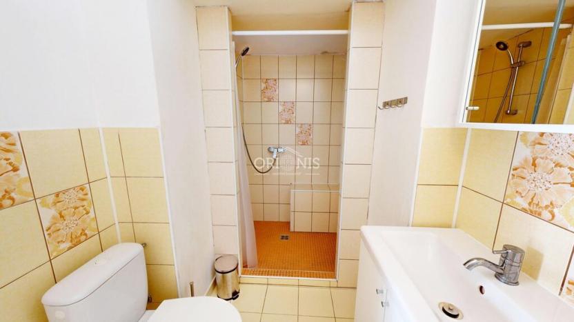 Prodej vícegeneračního domu, Jirkov, Vinařická, 500 m2