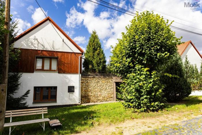 Prodej rodinného domu, Budyně nad Ohří - Nížebohy, Jana Ziky, 758 m2