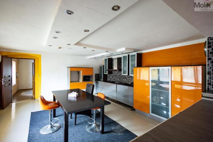 Prodej rodinného domu, Budyně nad Ohří - Nížebohy, Jana Ziky, 758 m2