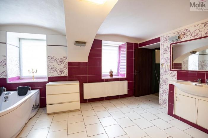 Prodej rodinného domu, Budyně nad Ohří - Nížebohy, Jana Ziky, 758 m2