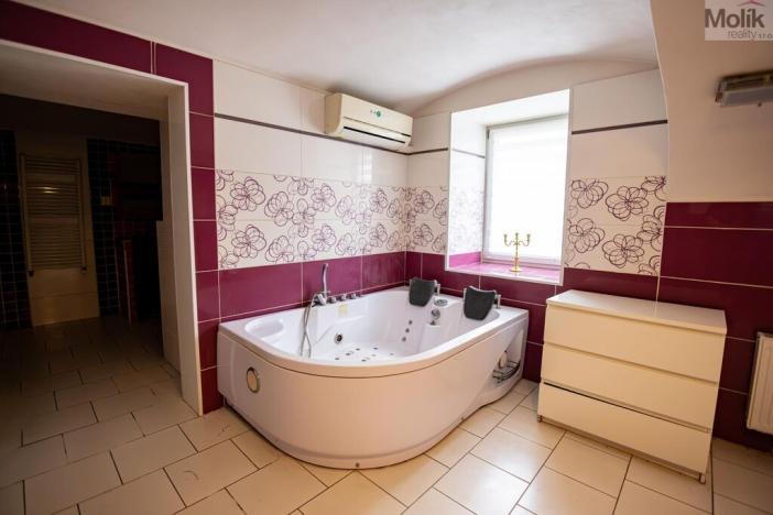 Prodej rodinného domu, Budyně nad Ohří - Nížebohy, Jana Ziky, 758 m2