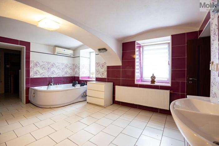 Prodej rodinného domu, Budyně nad Ohří - Nížebohy, Jana Ziky, 758 m2