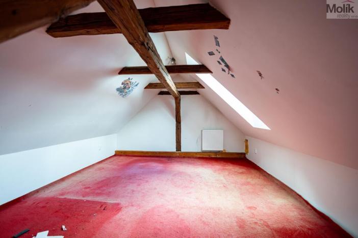 Prodej rodinného domu, Budyně nad Ohří - Nížebohy, Jana Ziky, 758 m2