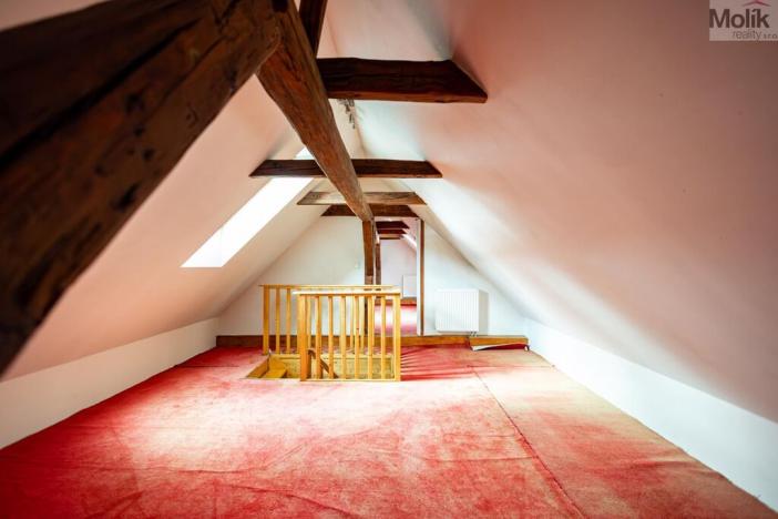 Prodej rodinného domu, Budyně nad Ohří - Nížebohy, Jana Ziky, 758 m2