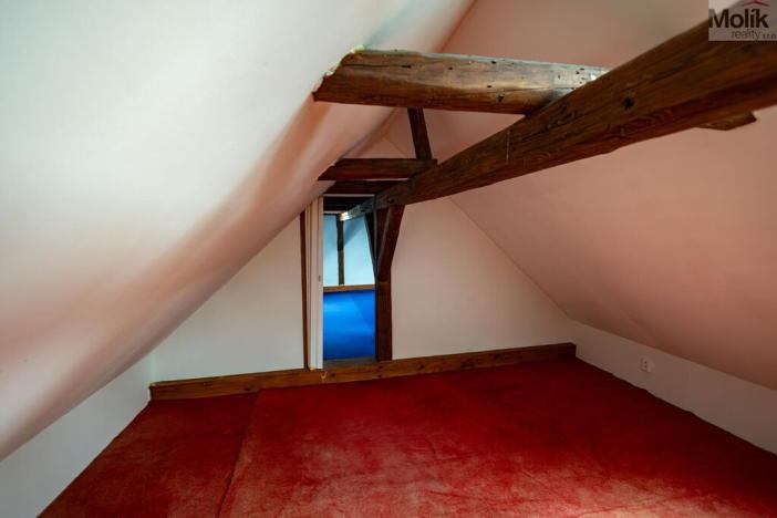 Prodej rodinného domu, Budyně nad Ohří - Nížebohy, Jana Ziky, 758 m2