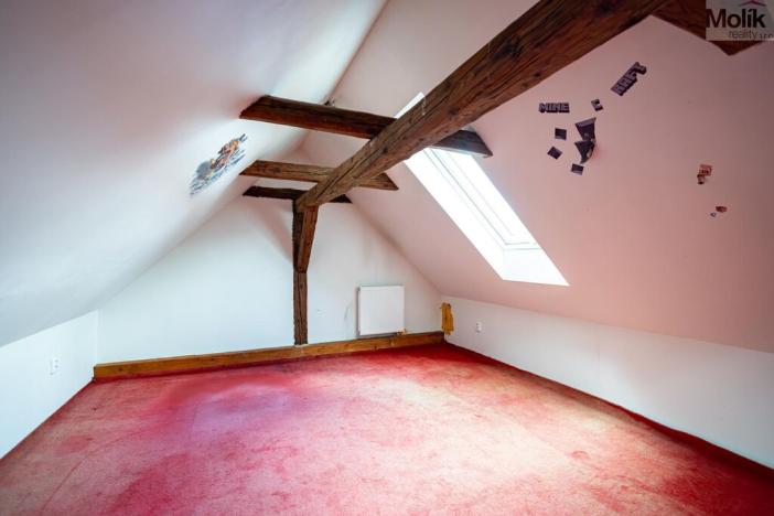 Prodej rodinného domu, Budyně nad Ohří - Nížebohy, Jana Ziky, 758 m2