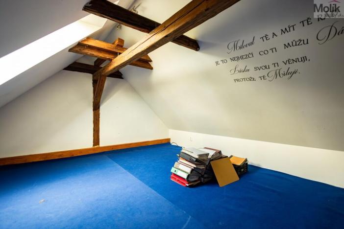 Prodej rodinného domu, Budyně nad Ohří - Nížebohy, Jana Ziky, 758 m2