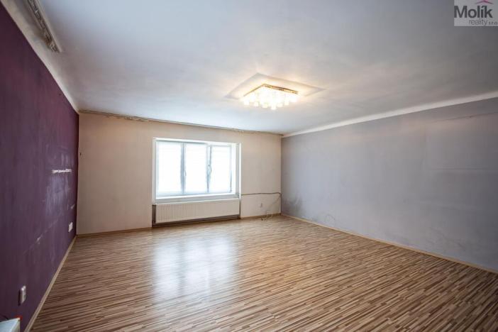 Prodej rodinného domu, Budyně nad Ohří - Nížebohy, Jana Ziky, 758 m2