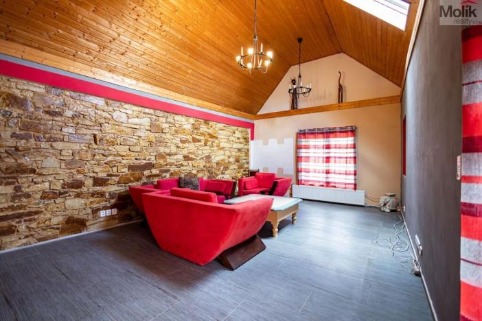 Prodej rodinného domu, Budyně nad Ohří - Nížebohy, Jana Ziky, 758 m2