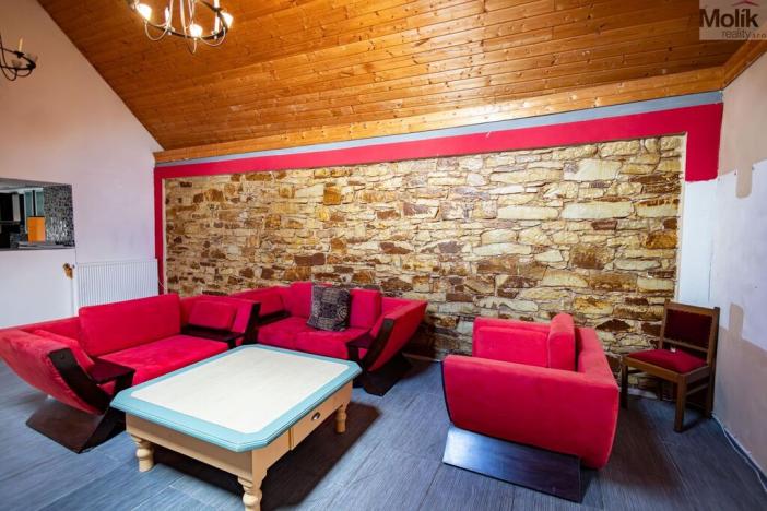 Prodej rodinného domu, Budyně nad Ohří - Nížebohy, Jana Ziky, 758 m2