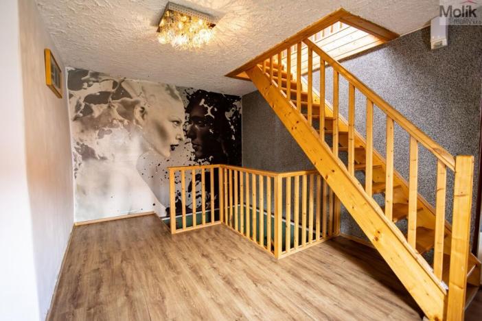 Prodej rodinného domu, Budyně nad Ohří - Nížebohy, Jana Ziky, 758 m2