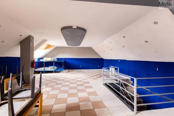 Prodej rodinného domu, Budyně nad Ohří - Nížebohy, Jana Ziky, 758 m2