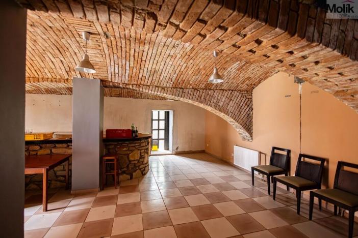 Prodej rodinného domu, Budyně nad Ohří - Nížebohy, Jana Ziky, 758 m2