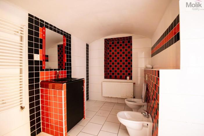 Prodej rodinného domu, Budyně nad Ohří - Nížebohy, Jana Ziky, 758 m2