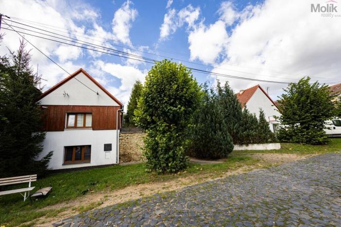 Prodej rodinného domu, Budyně nad Ohří - Nížebohy, Jana Ziky, 758 m2