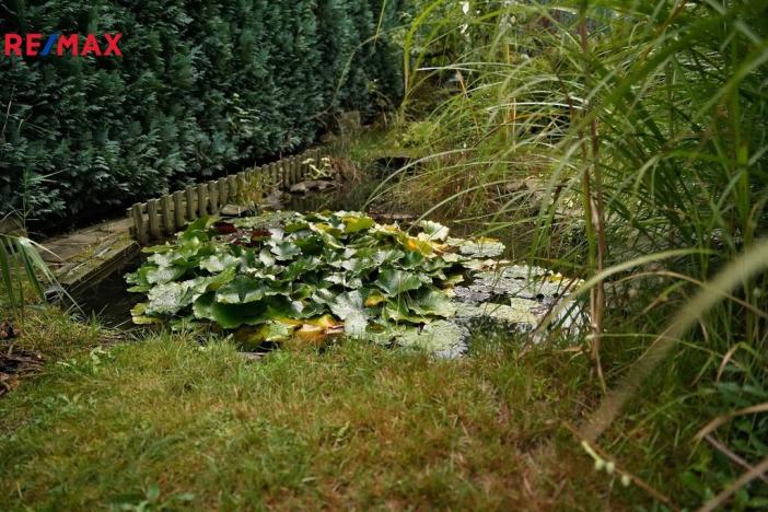 Prodej chalupy, Sobkovice, 160 m2