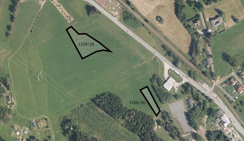 Prodej komerčního pozemku, Borová, 4941 m2