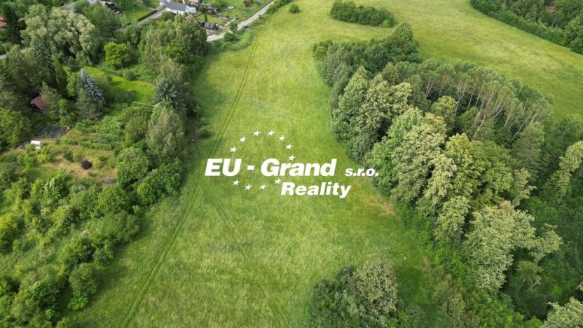 Prodej louky, Zákupy - Šidlov, 7471 m2