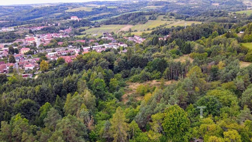 Prodej pozemku, Kunštát, 10775 m2