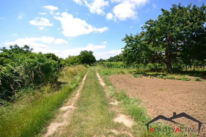 Prodej sadu/vinice, Bzenec, 2460 m2