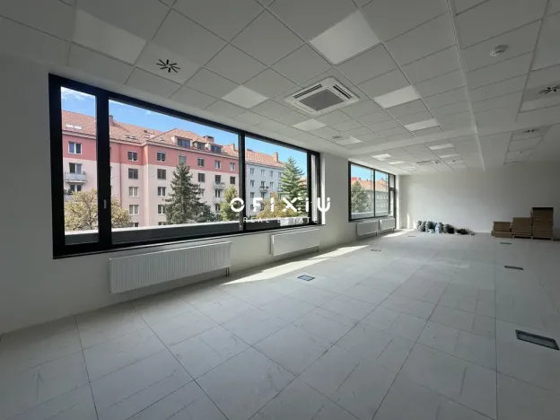 Pronájem kanceláře, Brno, Botanická, 481 m2