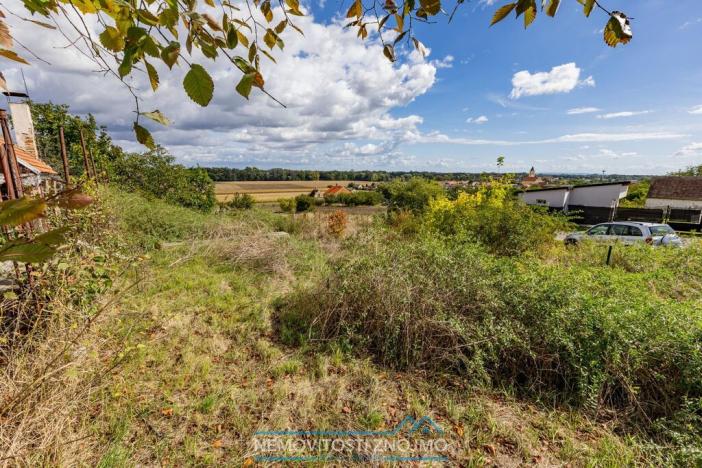 Prodej vinného sklepa, Strachotice, 227 m2