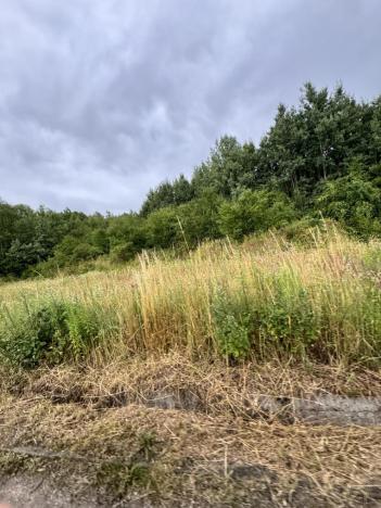 Prodej pozemku pro bydlení, Psáry, 10300 m2