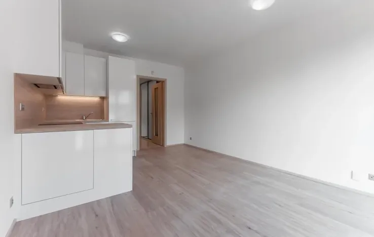 Pronájem bytu 1+kk, Praha - Vysočany, Bassova, 28 m2