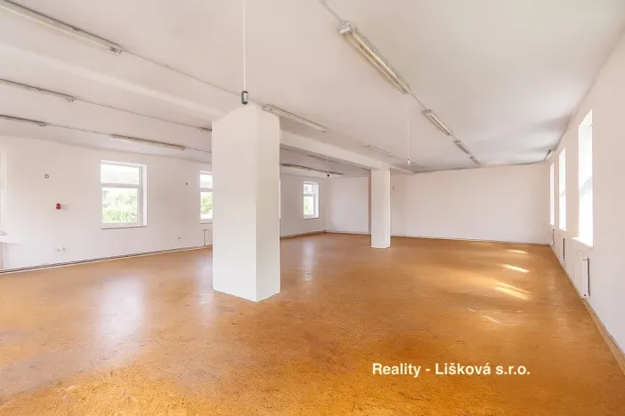 Pronájem výrobních prostor, Libouchec, 261 m2