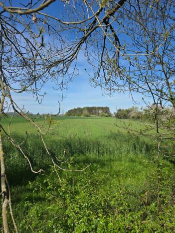 Prodej pozemku pro bydlení, Chářovice, Chářovice, 1600 m2