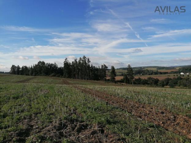 Prodej lesa, Zvěstov - Libouň, Zvěstov, 2824 m2