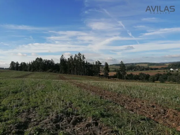 Prodej lesa, Zvěstov - Libouň, Zvěstov, 2824 m2