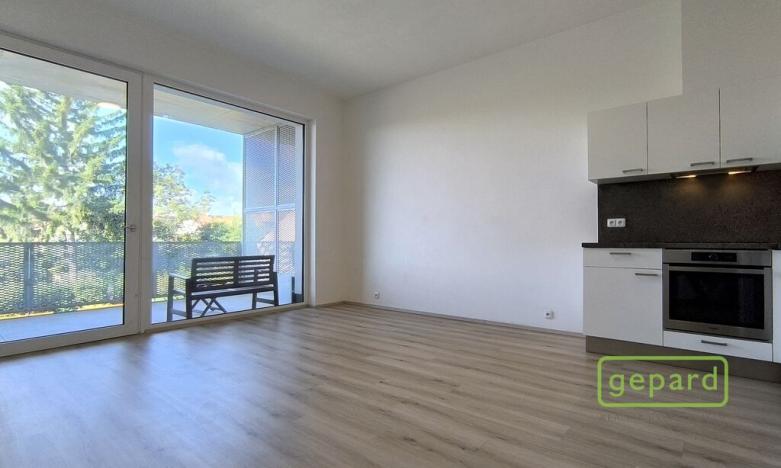Pronájem bytu 1+kk, Brno - Židenice, Gajdošova, 34 m2
