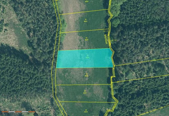 Prodej louky, Velká Turná, 2199 m2