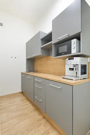 Prodej vily, Ostrava, Českobratrská, 580 m2