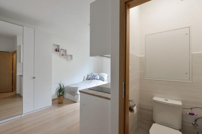 Prodej bytu 1+kk, Praha - Michle, Jihlavská, 19 m2