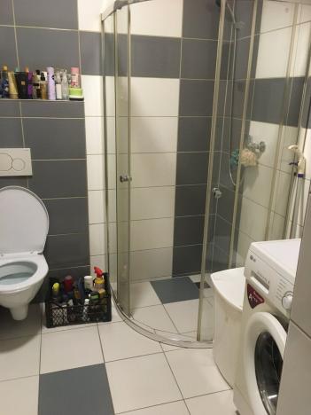 Pronájem bytu 1+1, Opava, Rybářská, 32 m2
