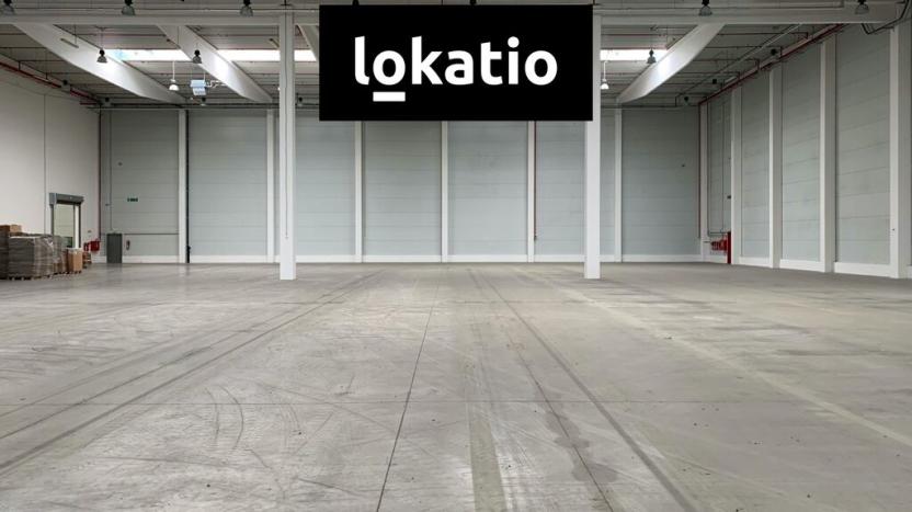 Pronájem skladu, Nýřany, U Mexika, 5442 m2