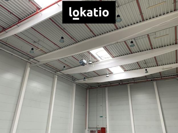 Pronájem skladu, Nýřany, U Mexika, 5442 m2